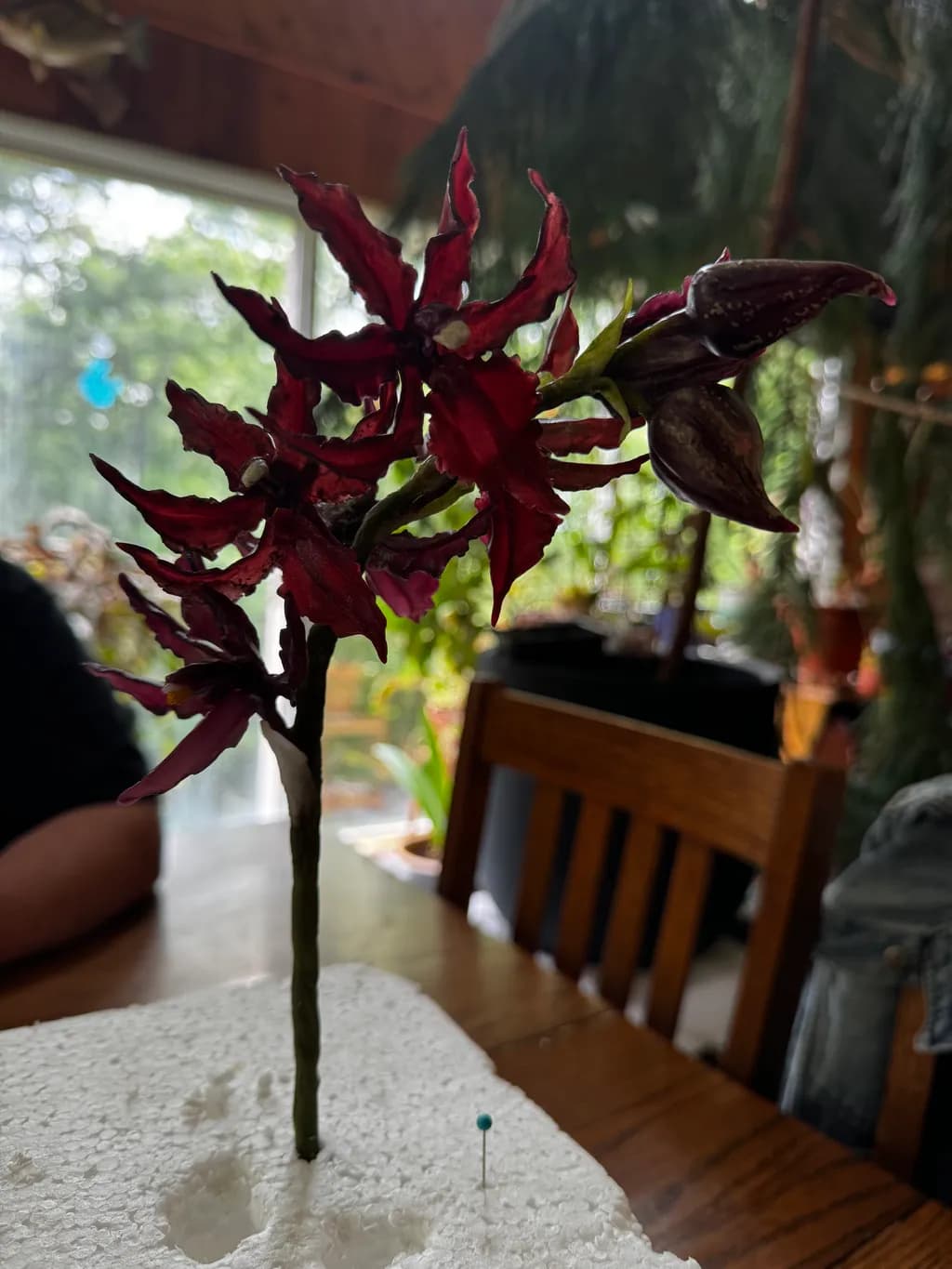 Crimson Bloom