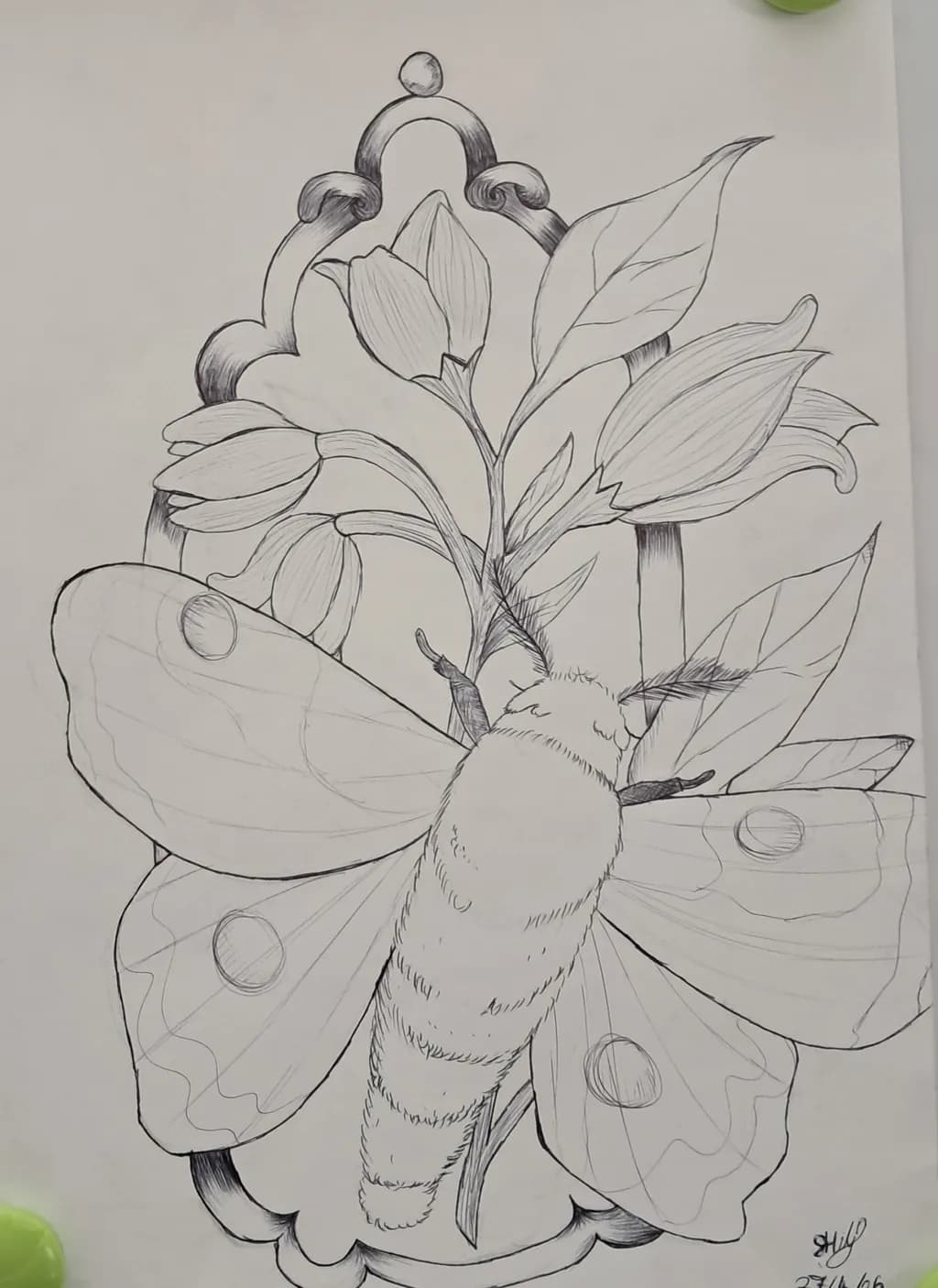Moth and Blooms