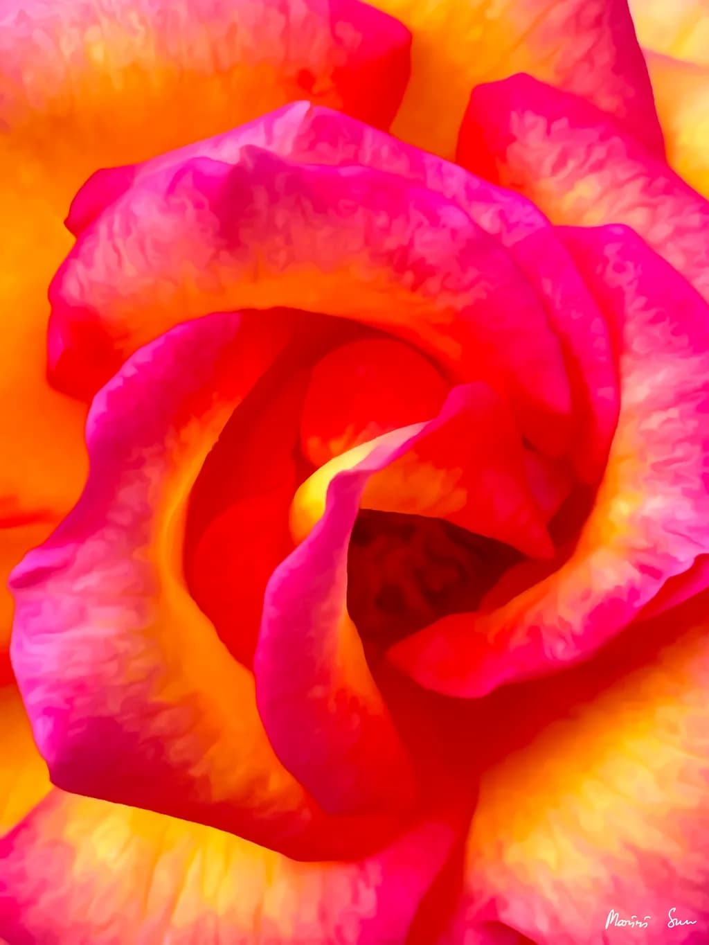Flame Rose