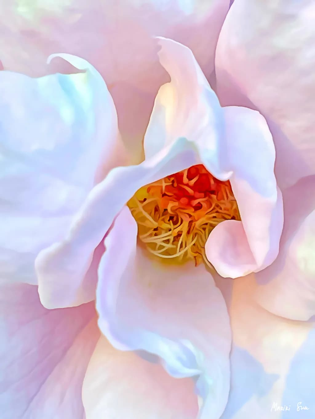 Unveiled Essence