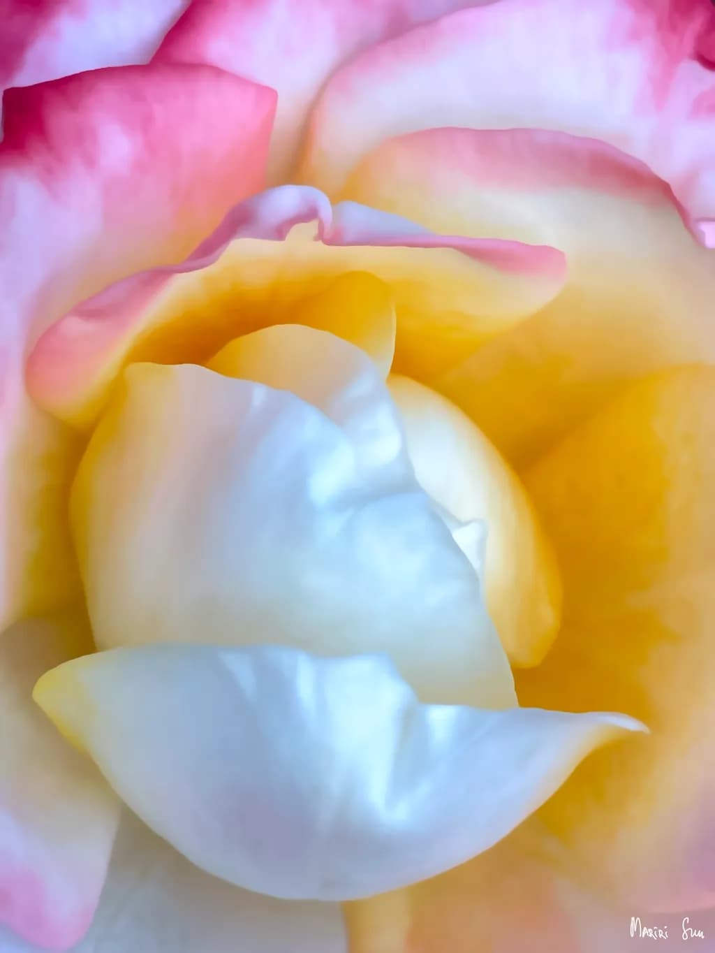 Tender Unfolding