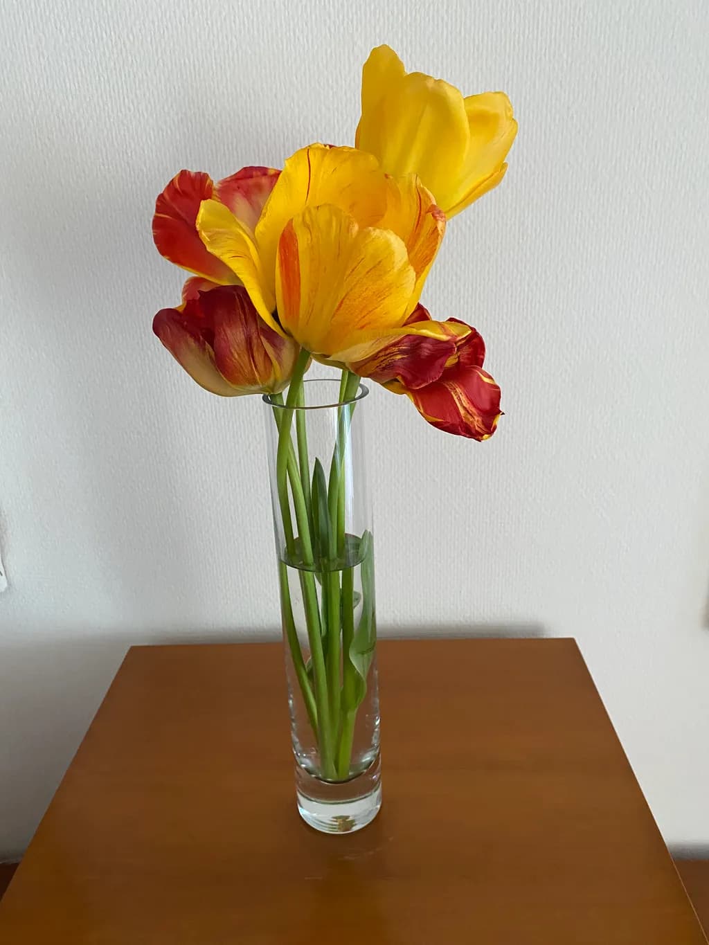 Flame Tulips