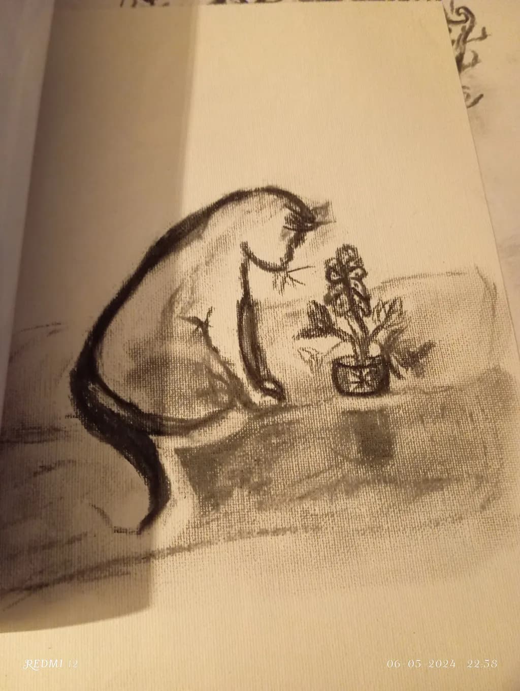 Contemplation