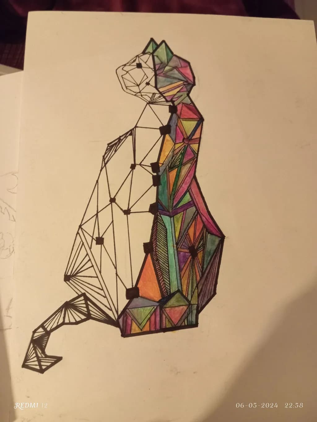Geometric Meerkat