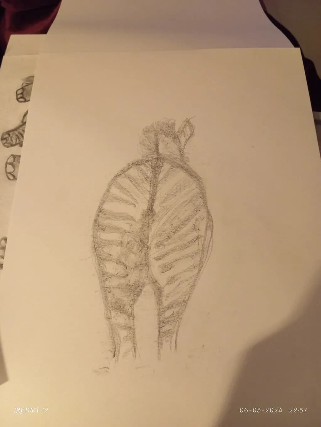 Striped Elephant Back