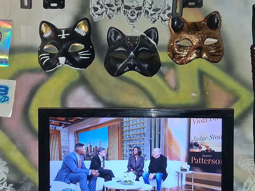 Urban Cat Masks