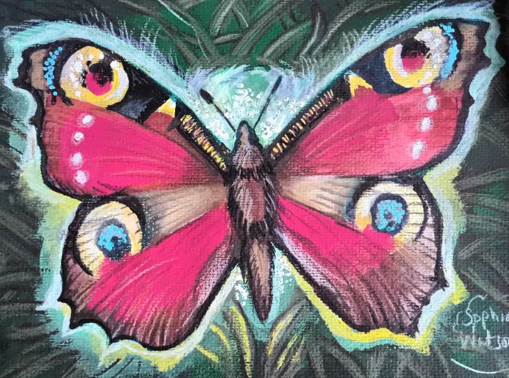 Peacock Eyes Butterfly