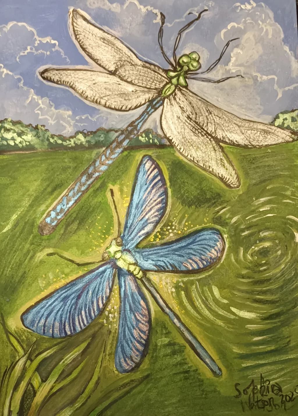Dragonfly Dance