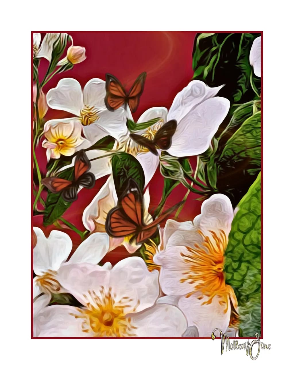 Butterfly Garden