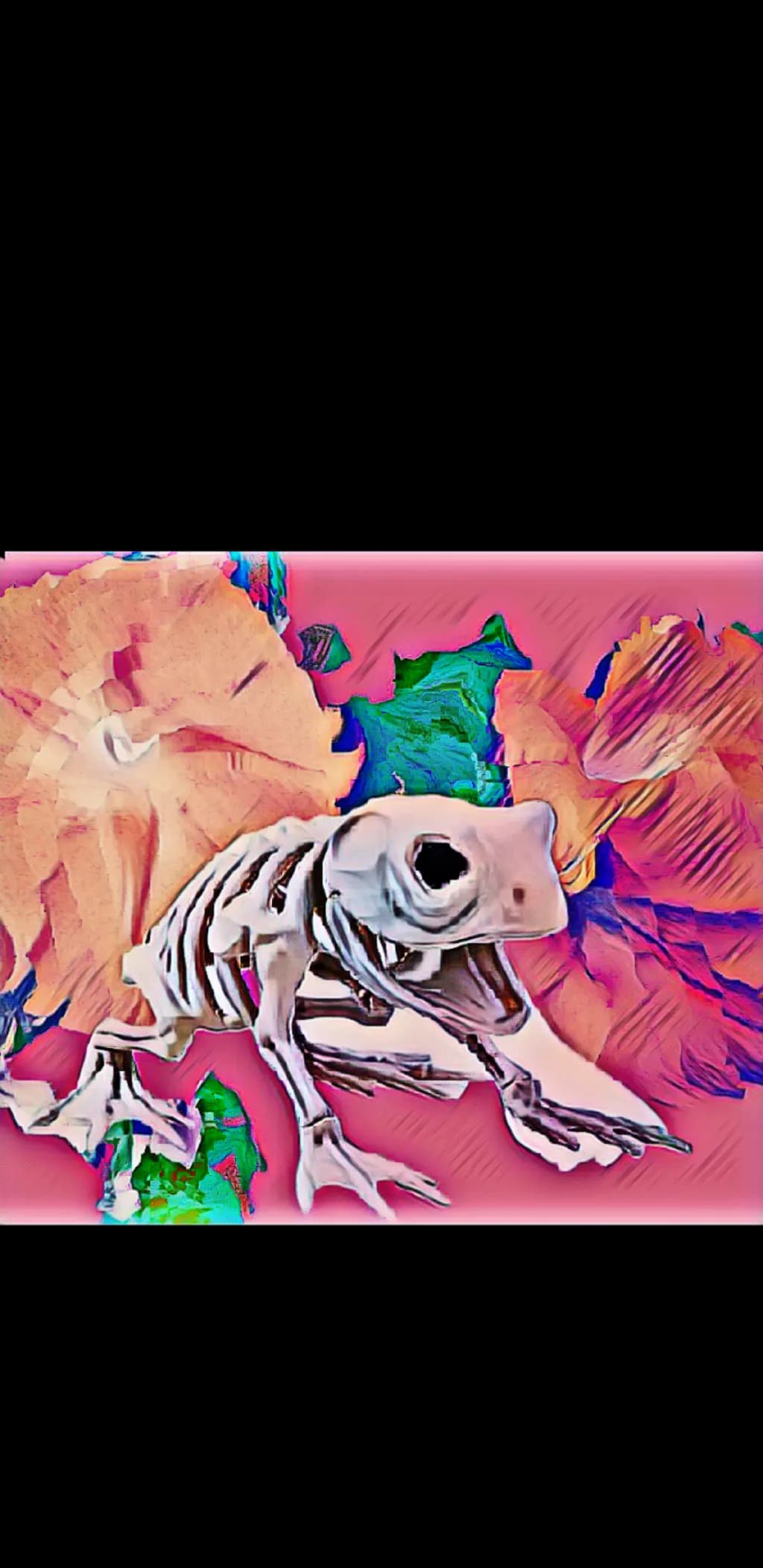 Bonebound Frog