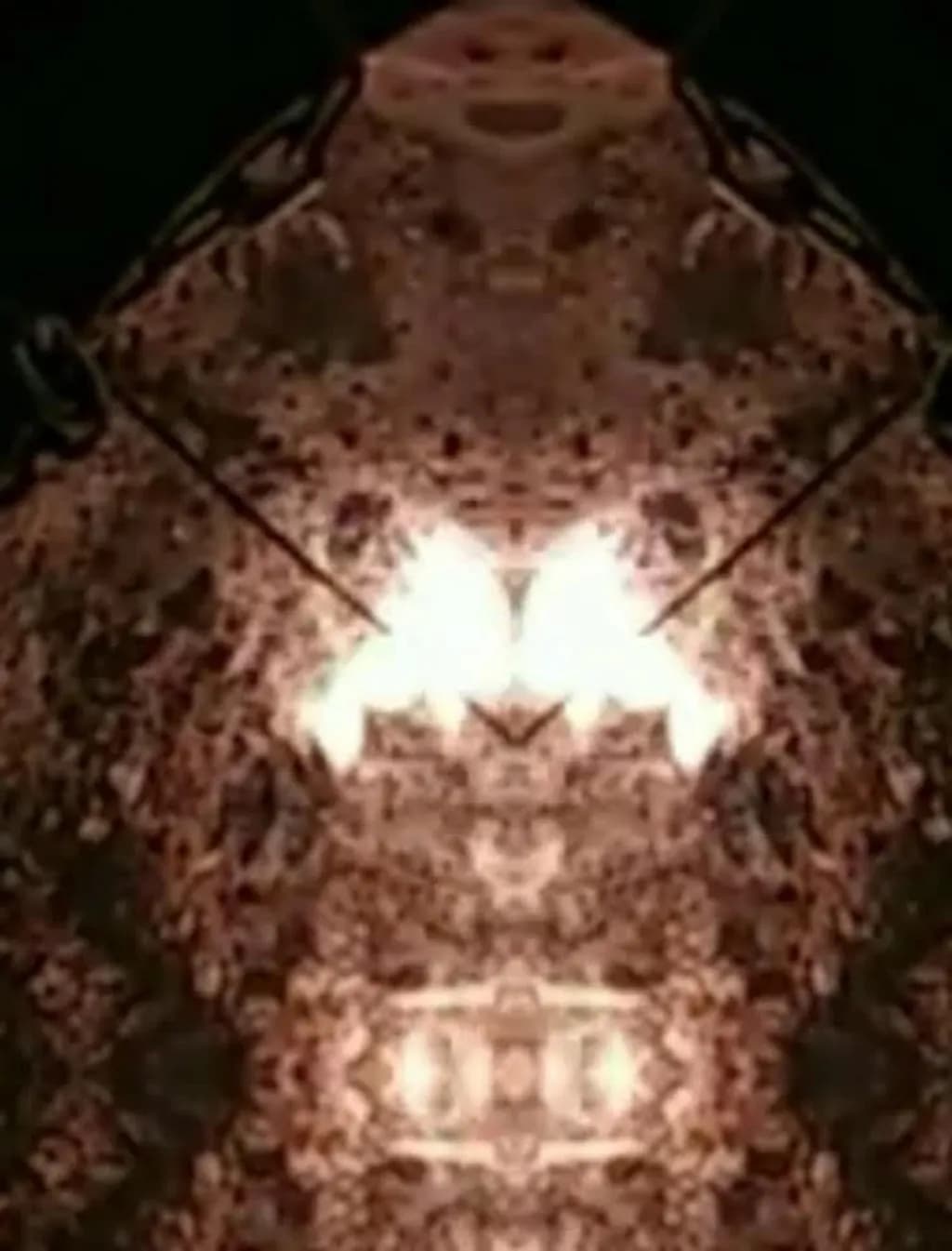 Mirrored Totem