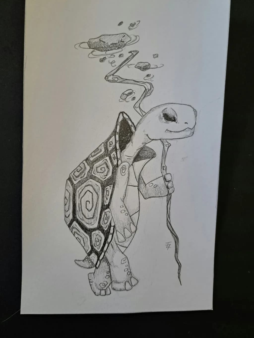 Mystic Turtle Wanderer