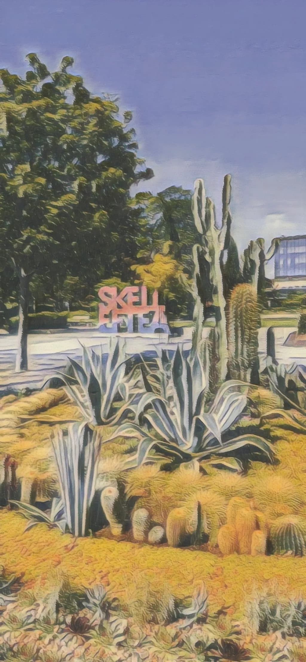 Cactus Crew Chillout