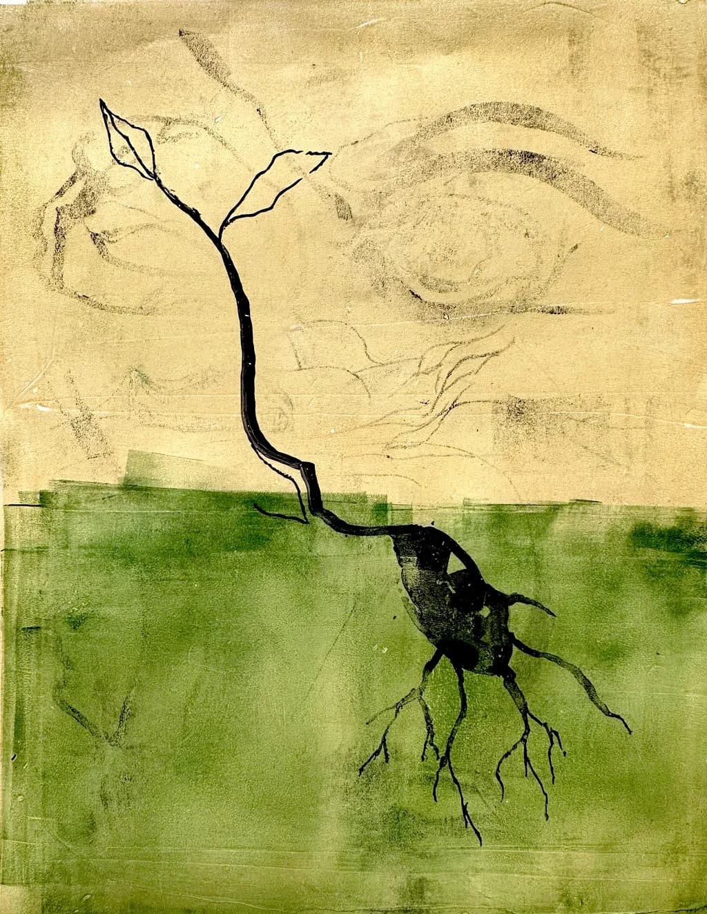 Emergence