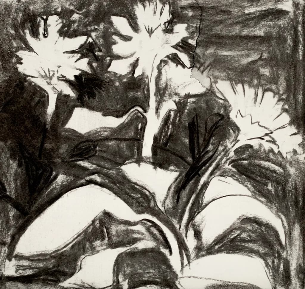 Undergrowth study