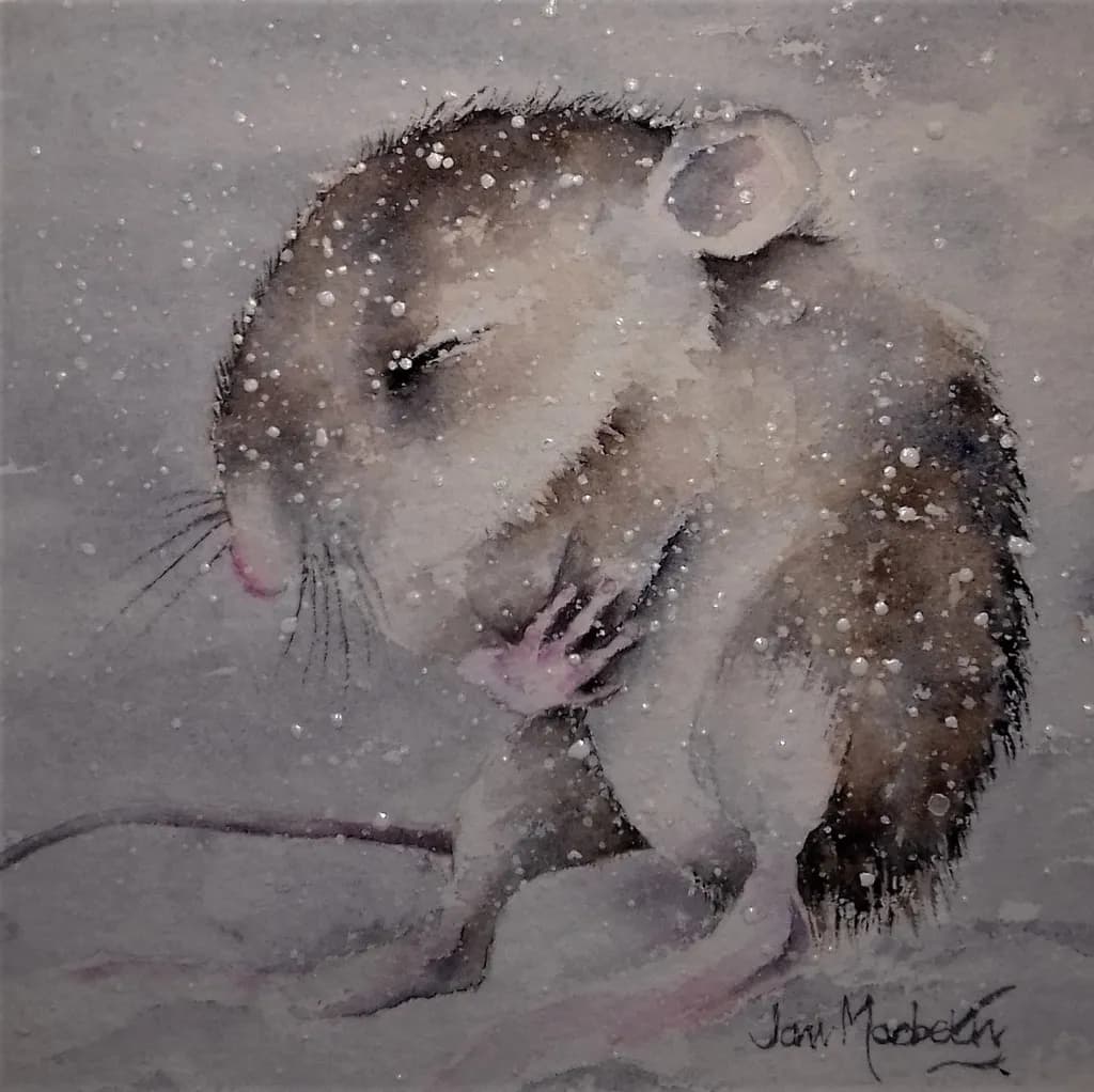 Little Cold Woodmouse