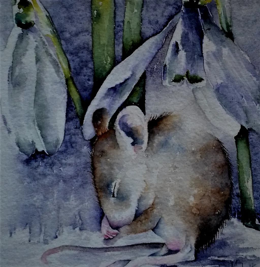 Little Wet Woodmouse