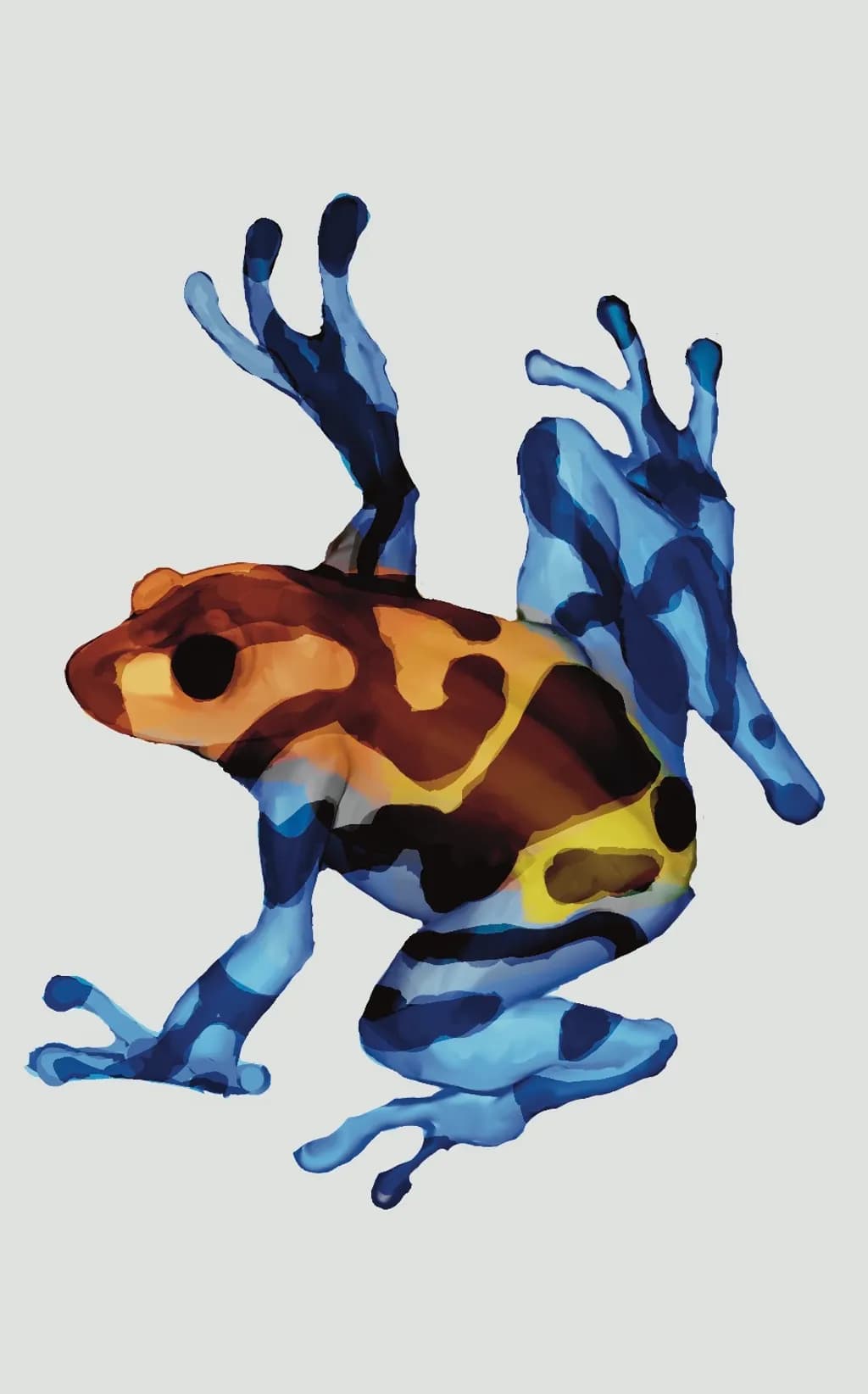 Colorburst Frog