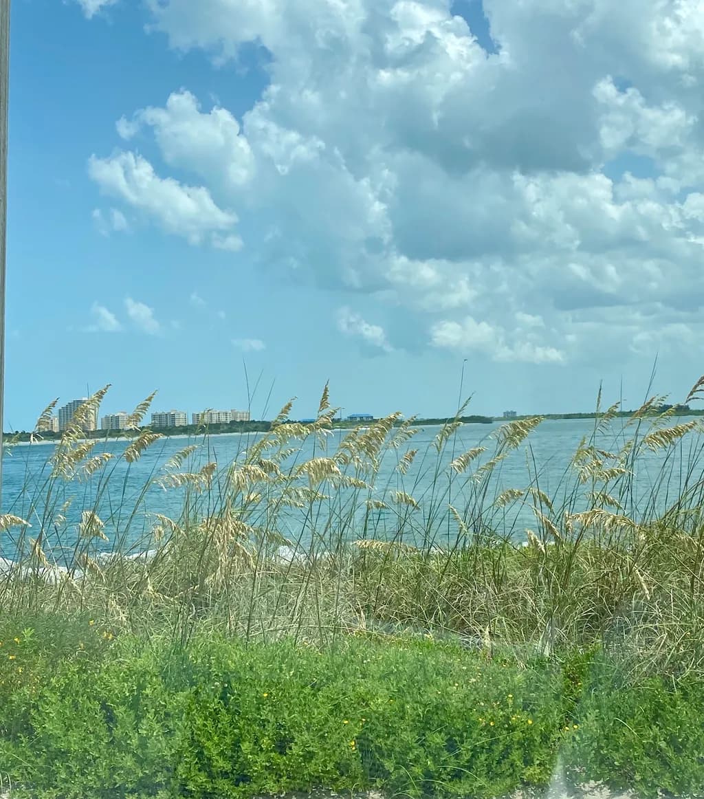 Coastal Breeze