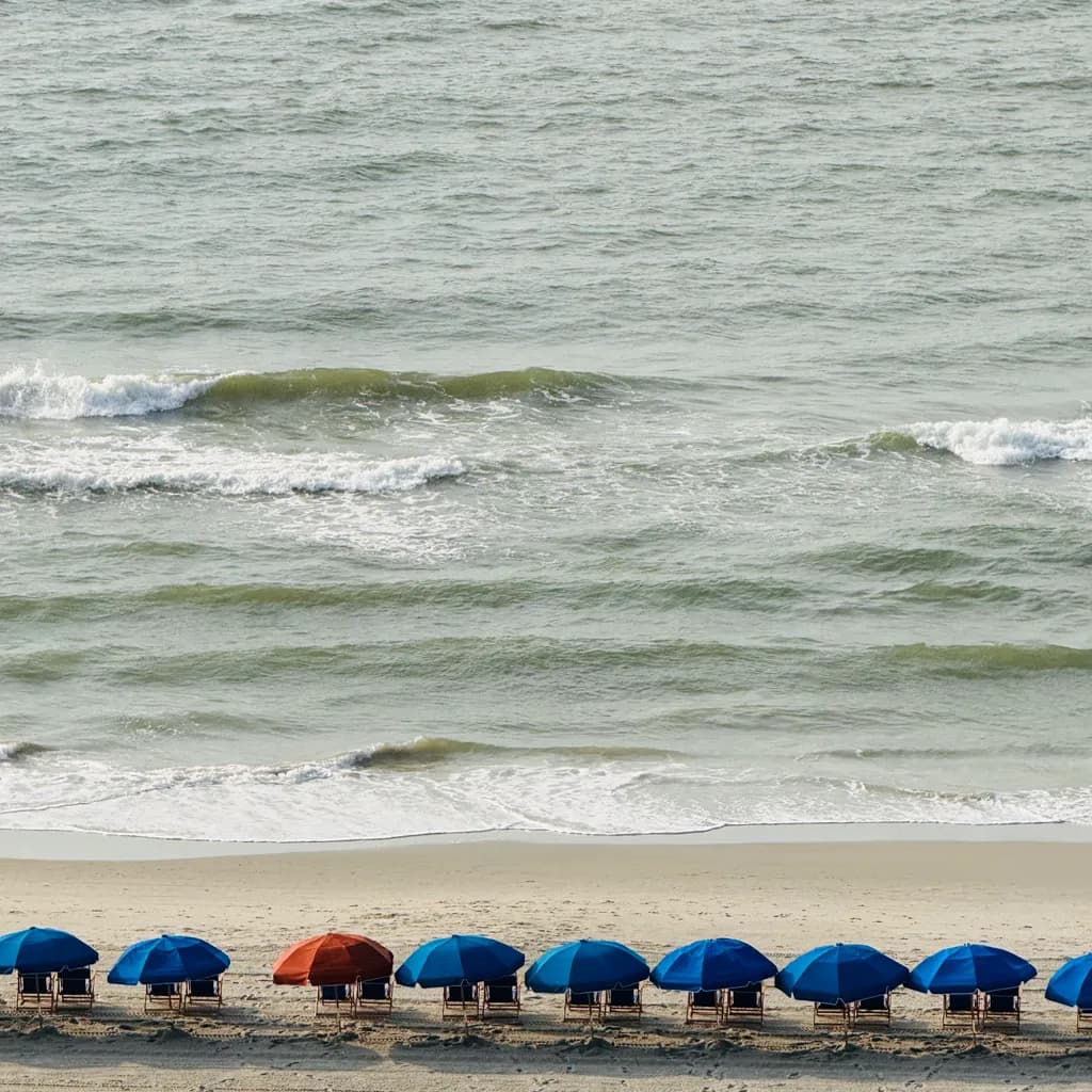 Oceanfront Umbrellas