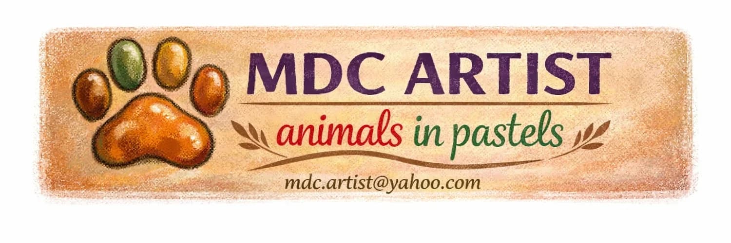 Banner do perfil