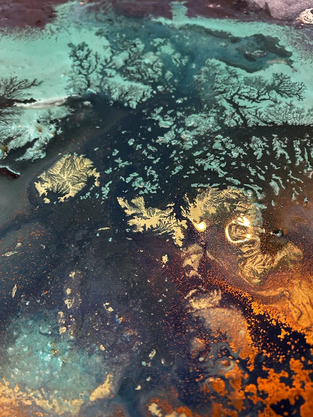Celestial Cartography
