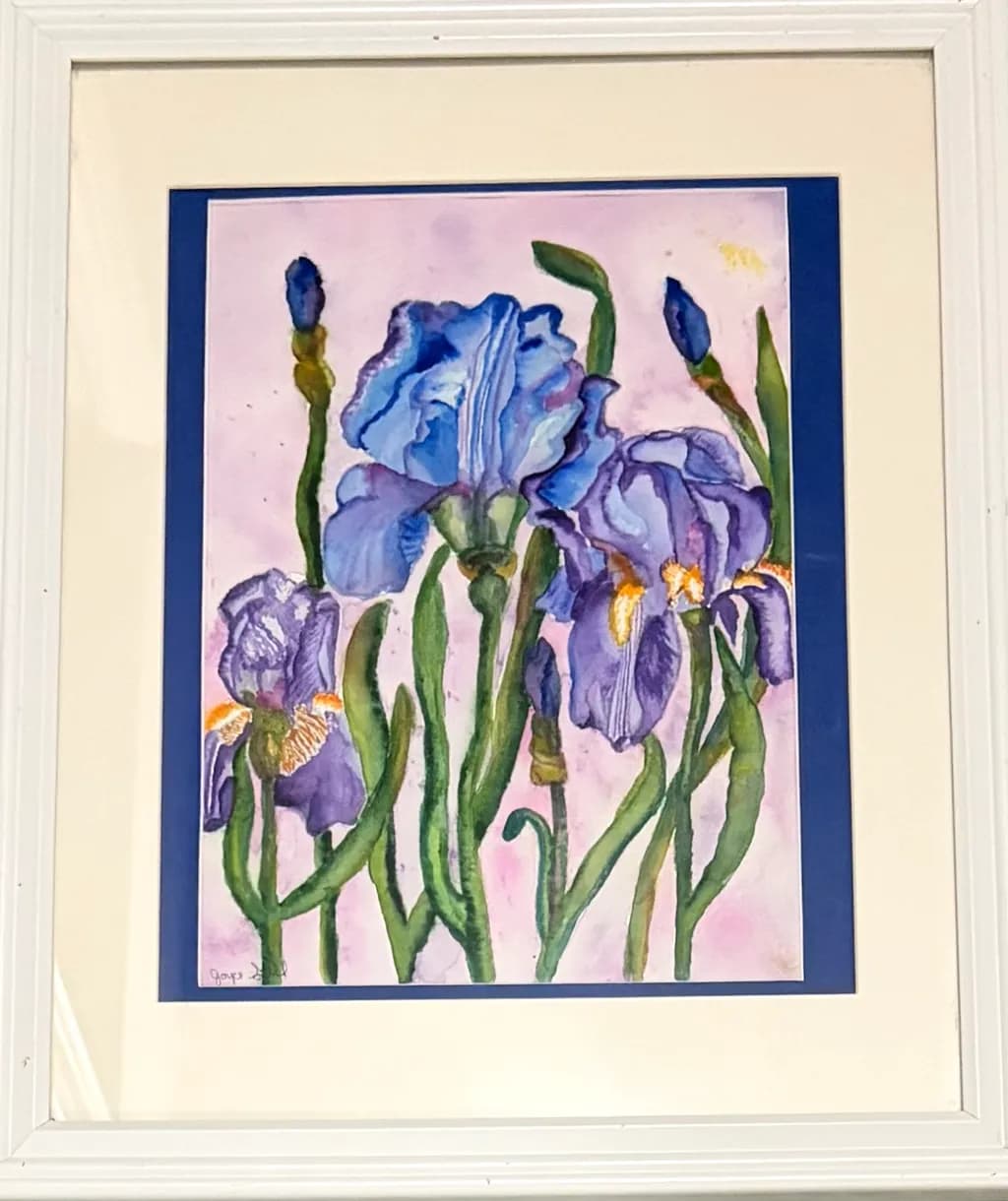 Blue Iris Bloom