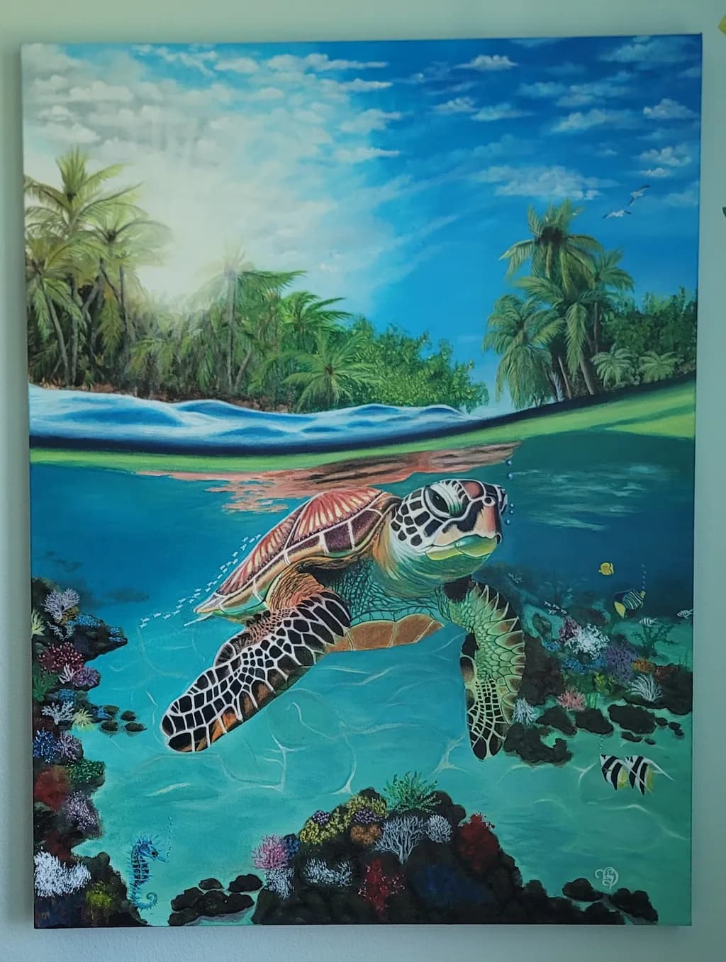 Coral Reef Voyager