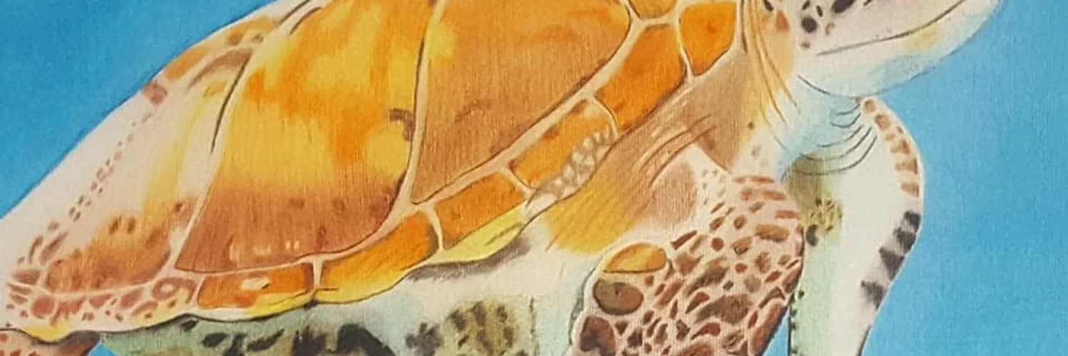 Banner del perfil