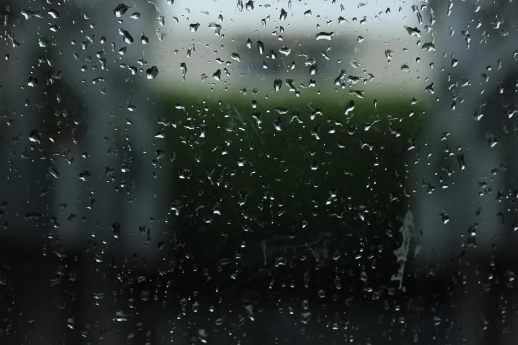 Rain-speckled Window