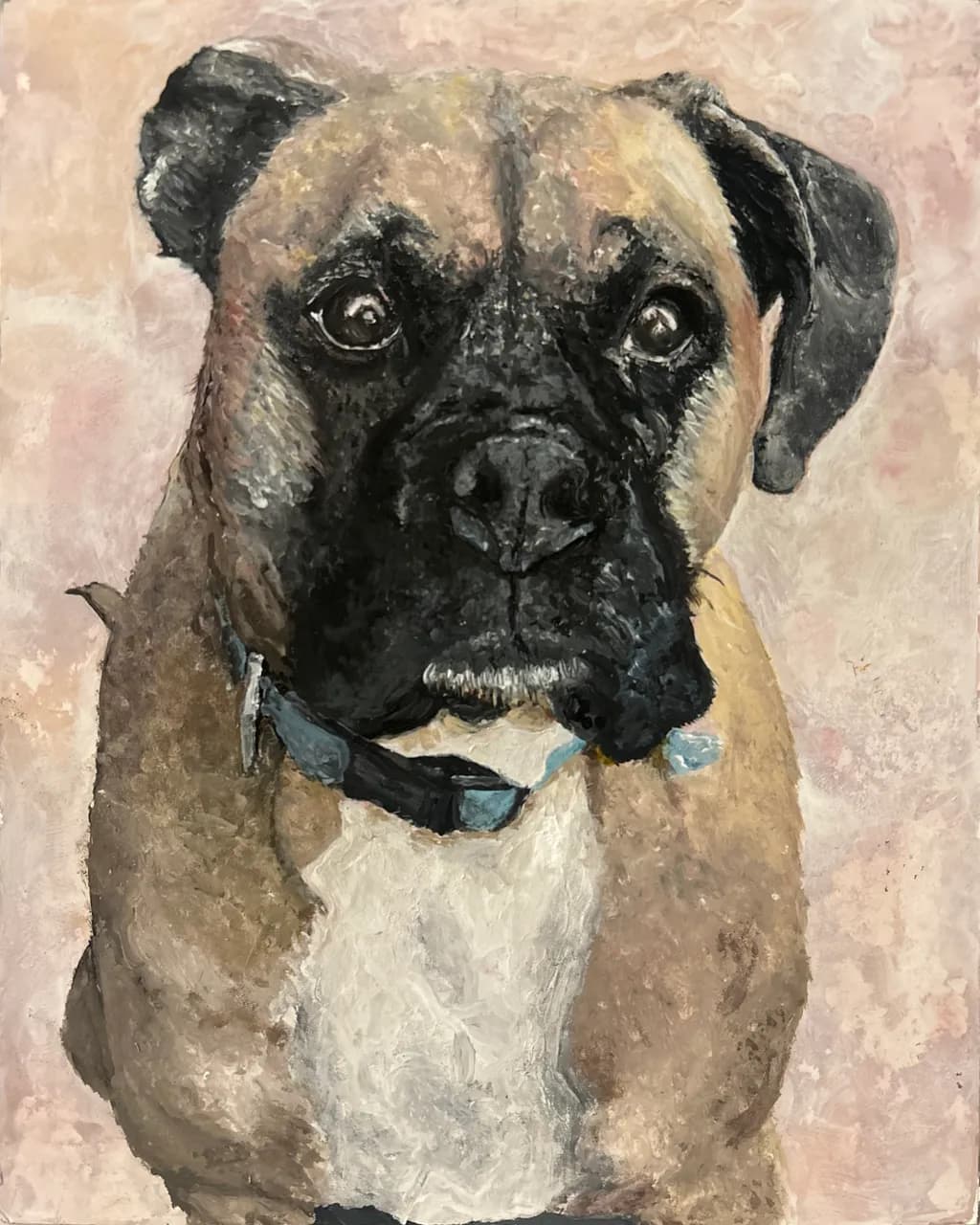 Boxer Gaze