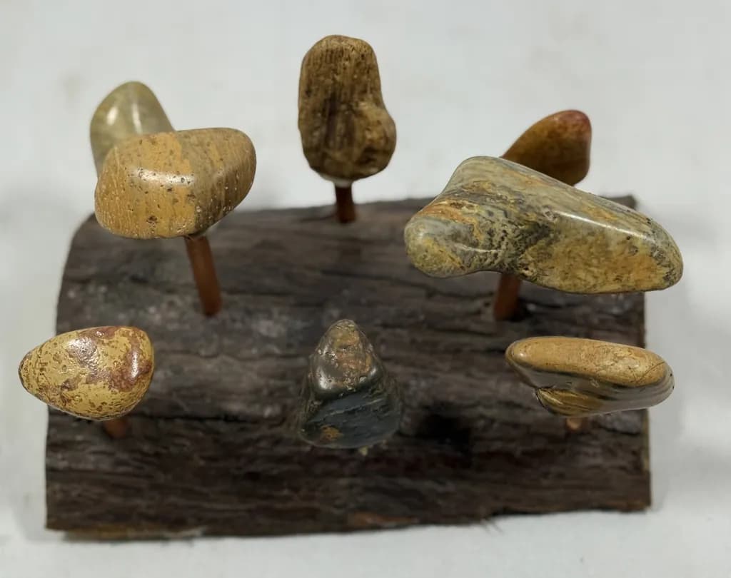 A Dance of Stones: Nature's Artistry in Balance