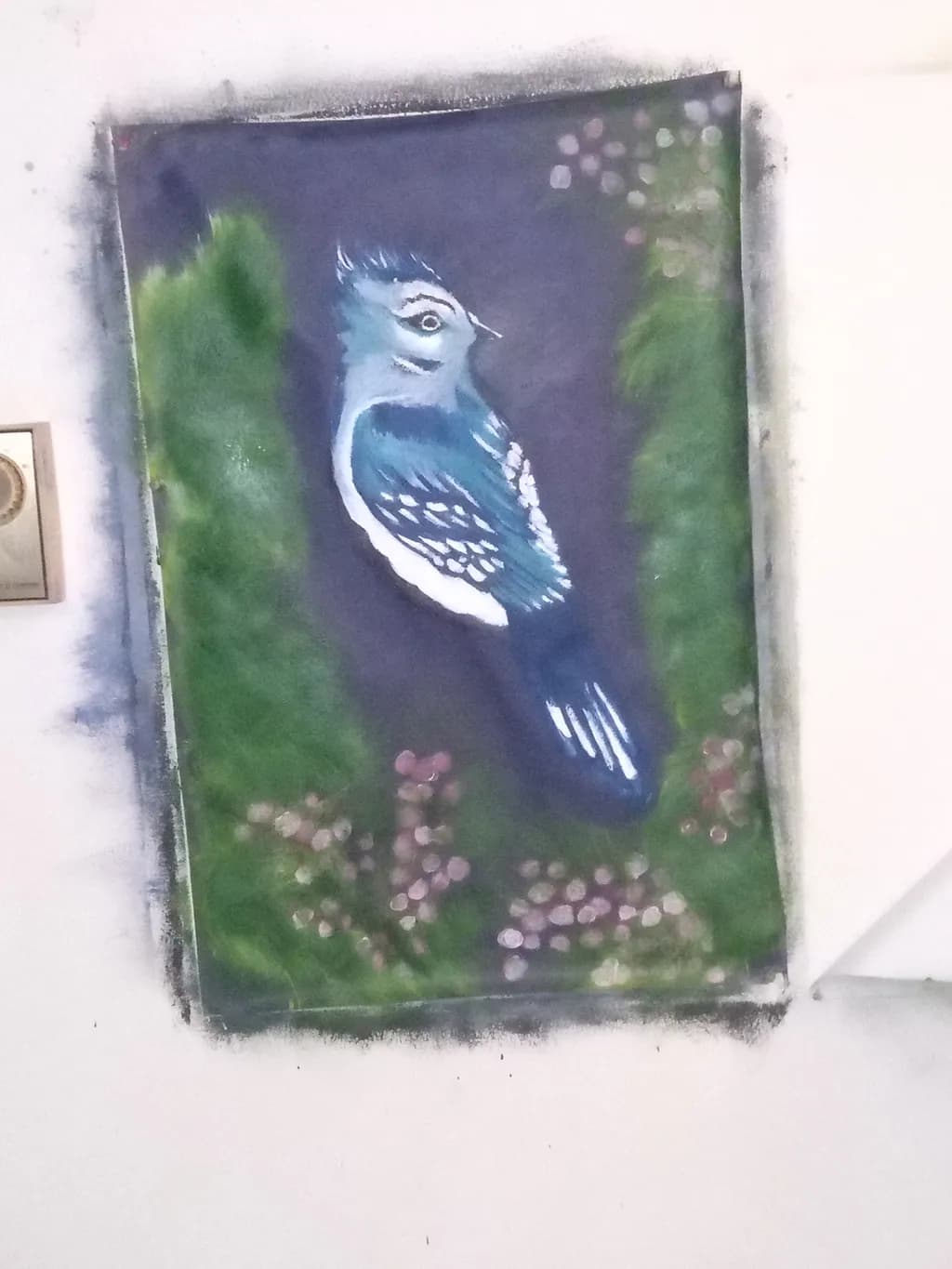 Blue Jay Portrait