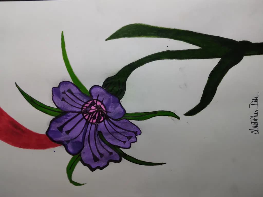 Crimson and Violet Bloom