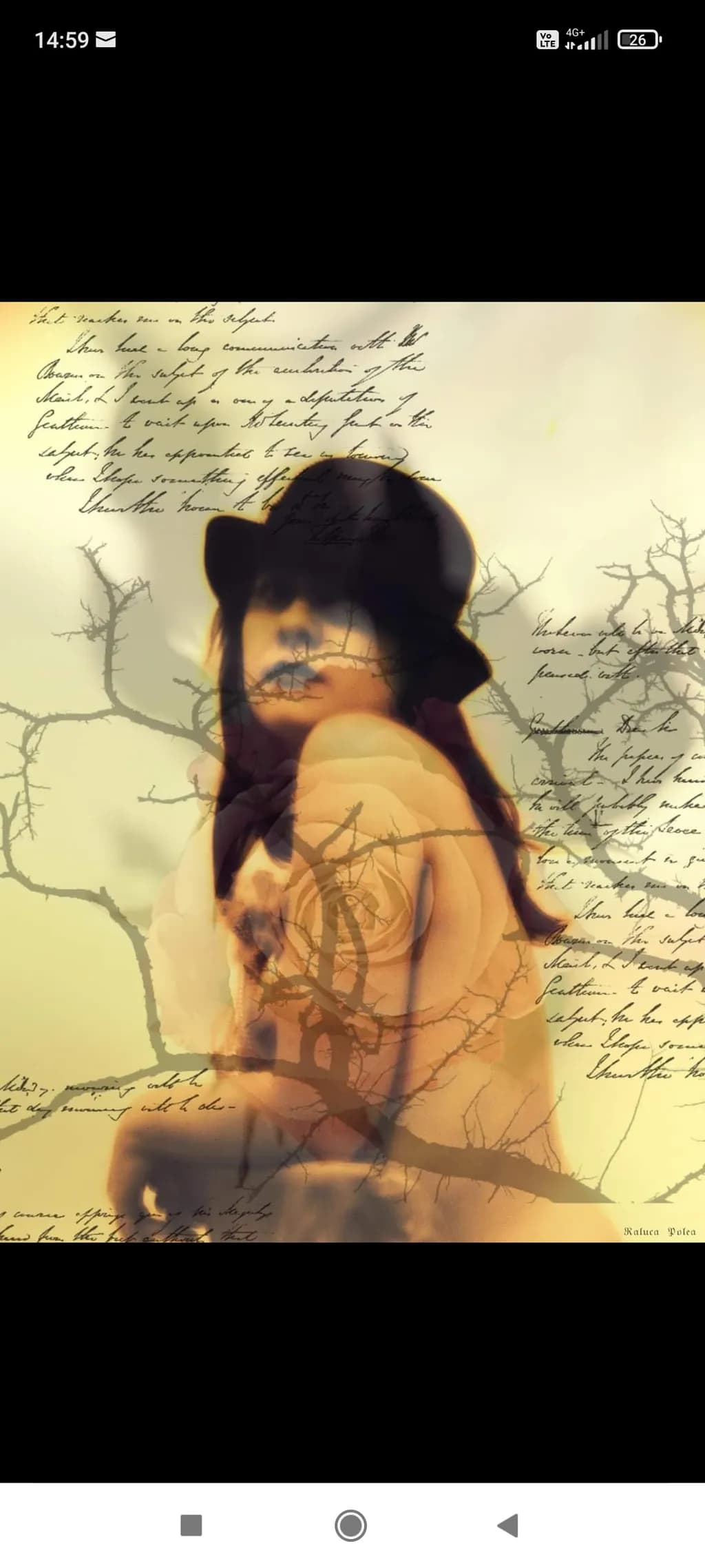 Silent Reverie