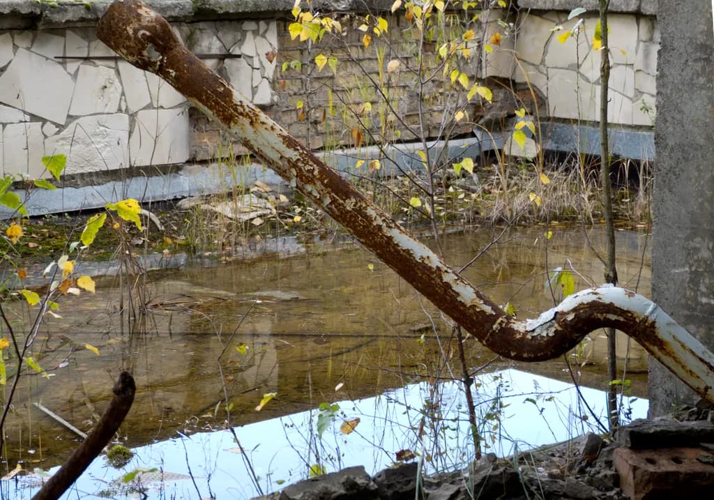 Rust and Reflection