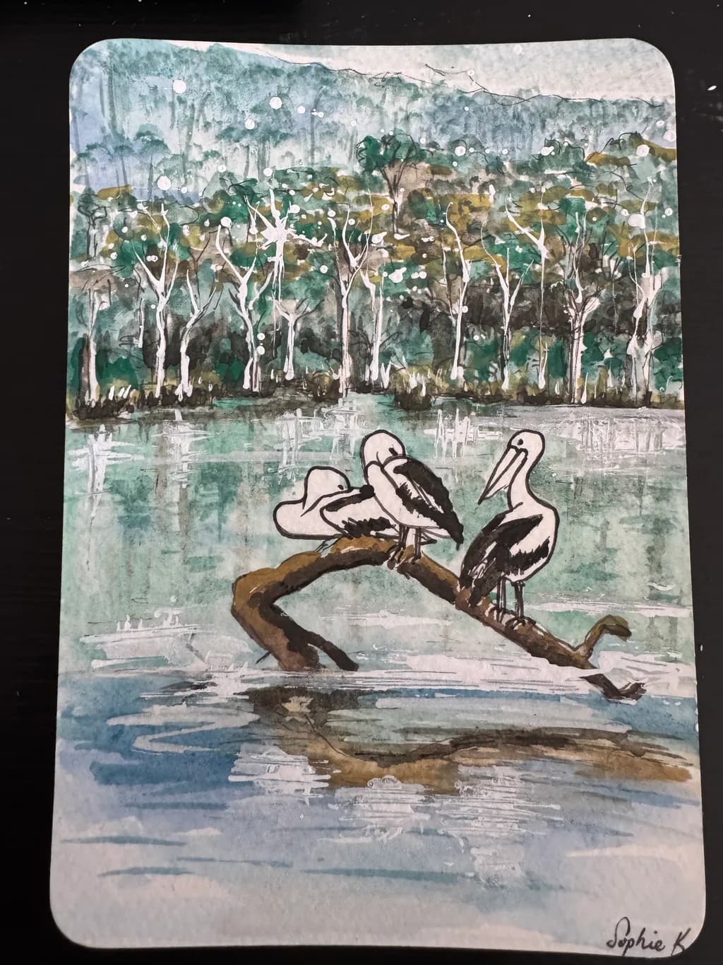 Waterside Pelicans