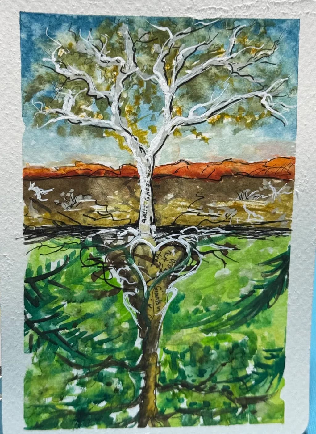 Heartwood Reflection