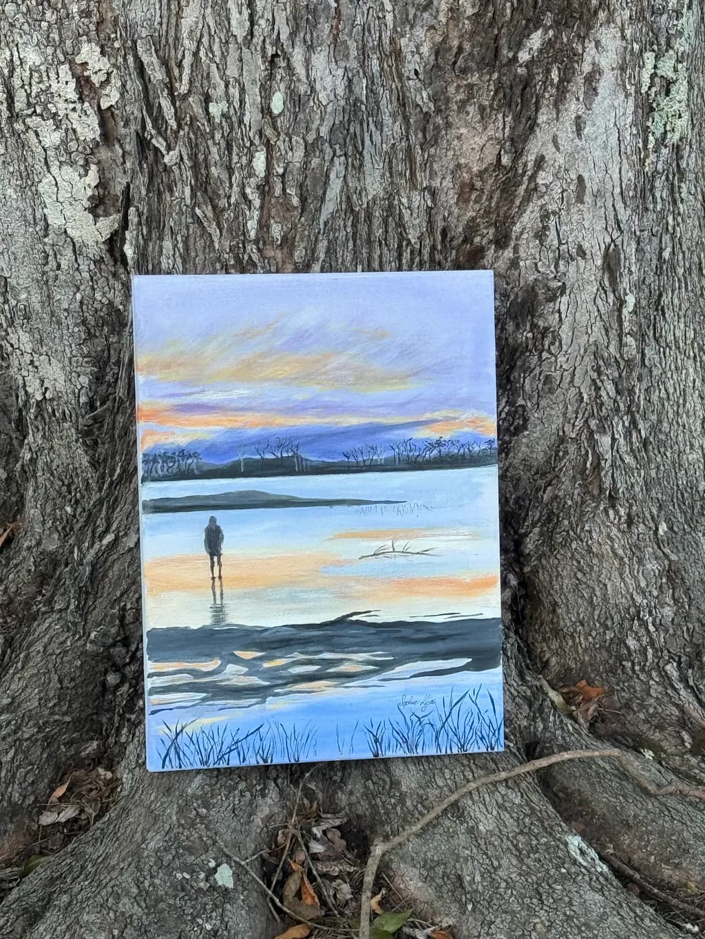 Solitary Reflection