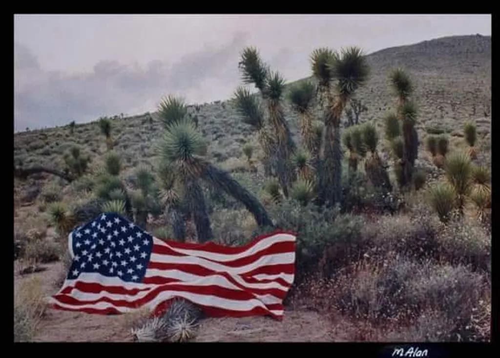 Desert Flag