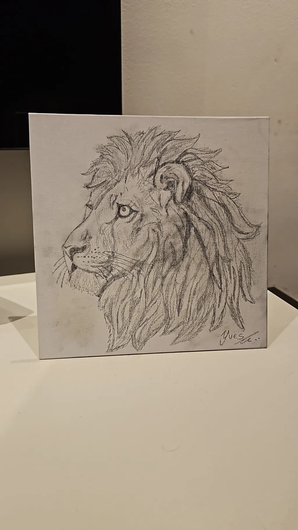 Lion Profile