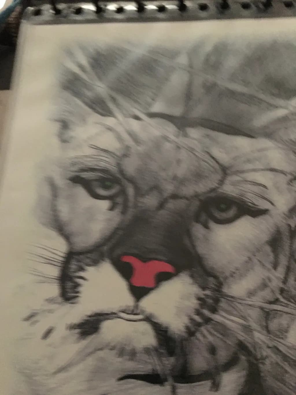 Feline Gaze