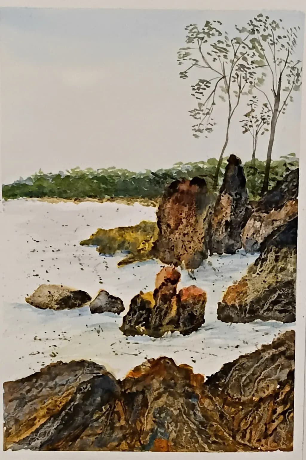 Rock Coastline
