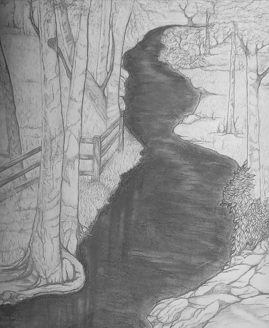 Forest River Bend
