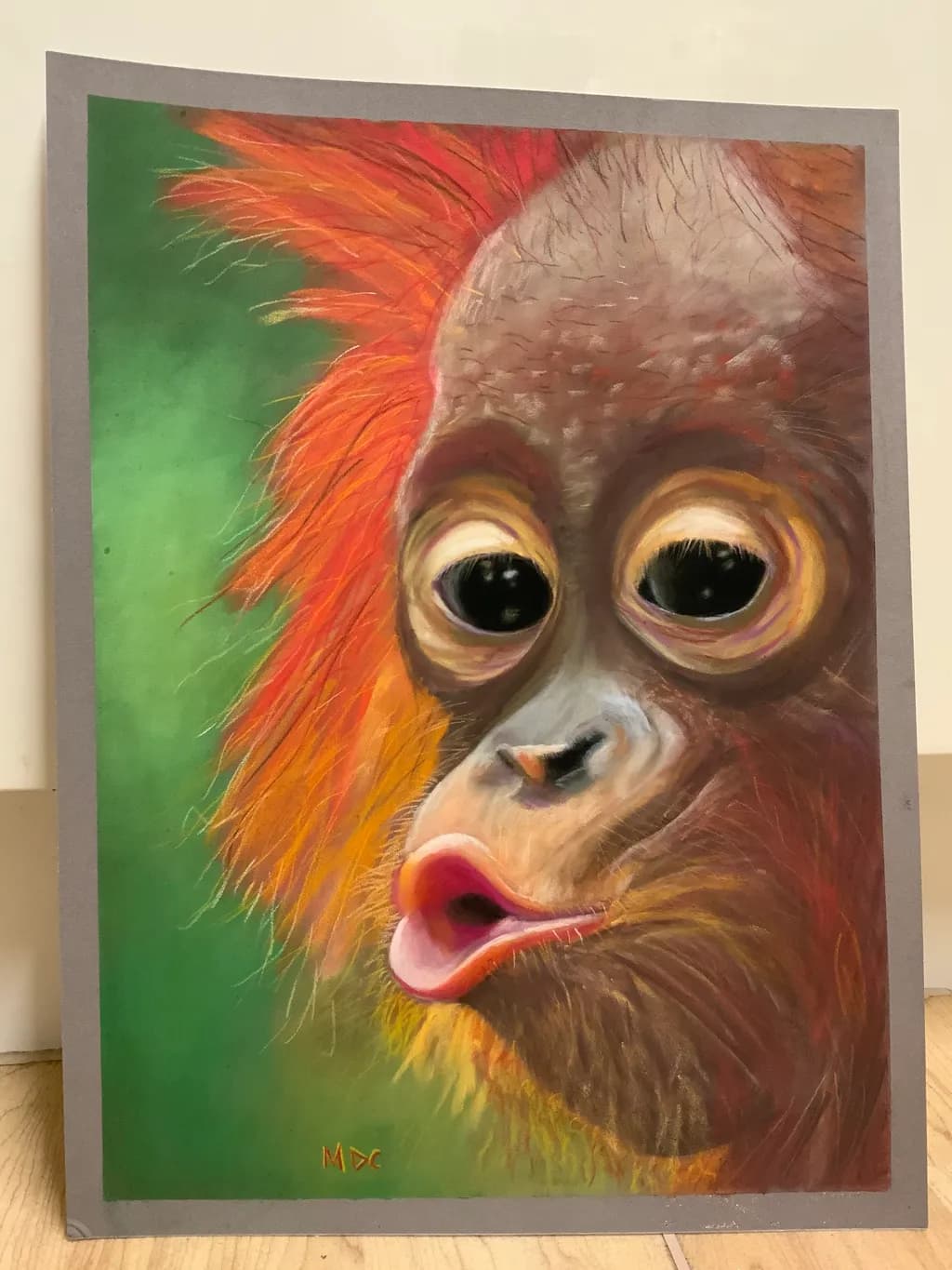 Curious Orangutan