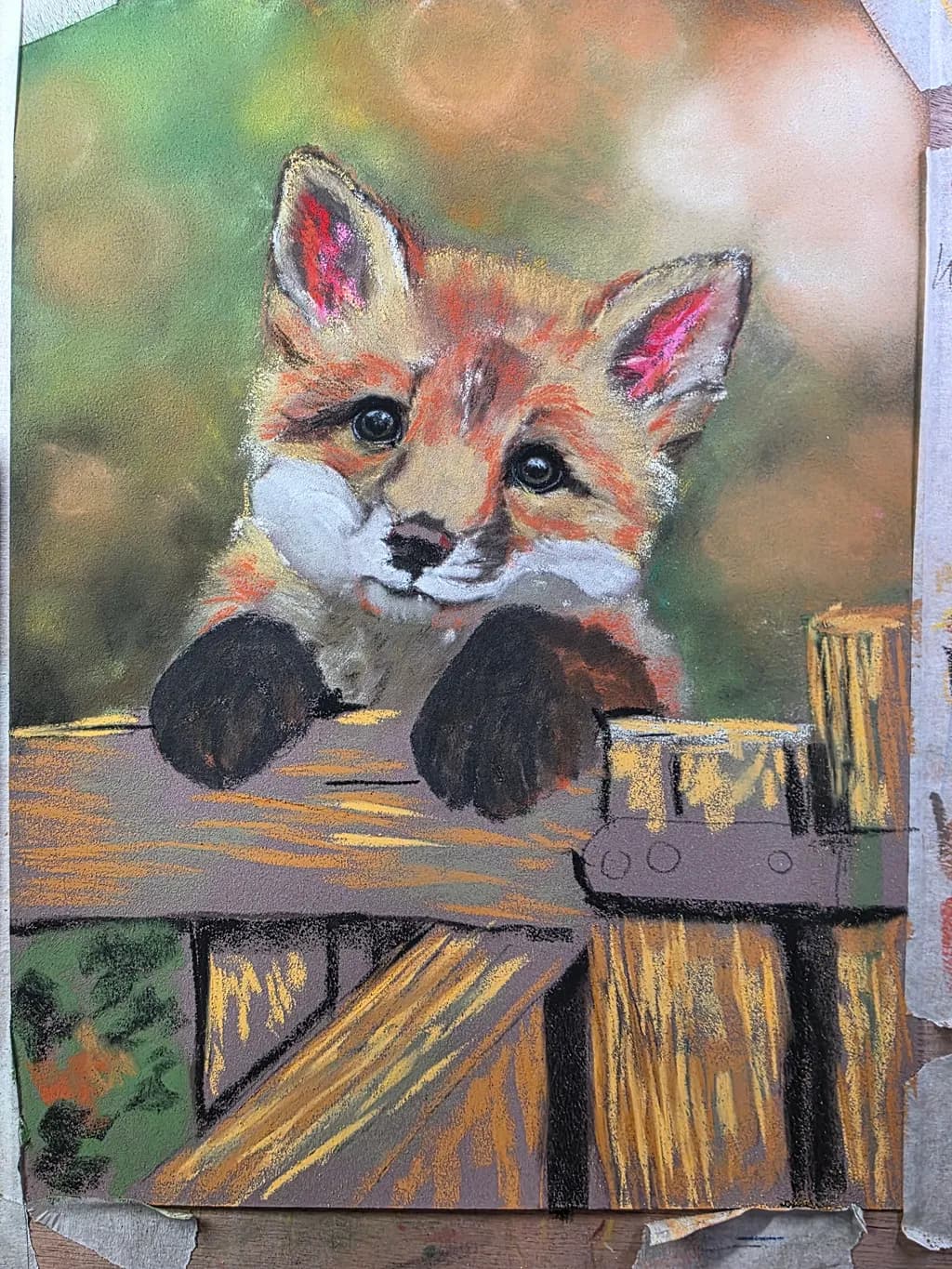 Curious Fox Cub