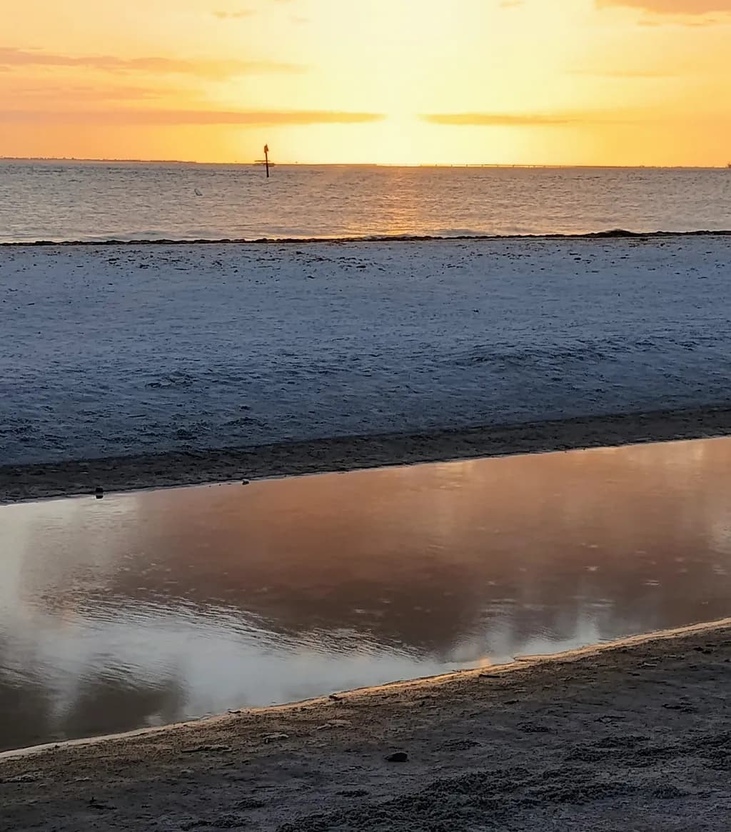 Golden Horizon Reflection
