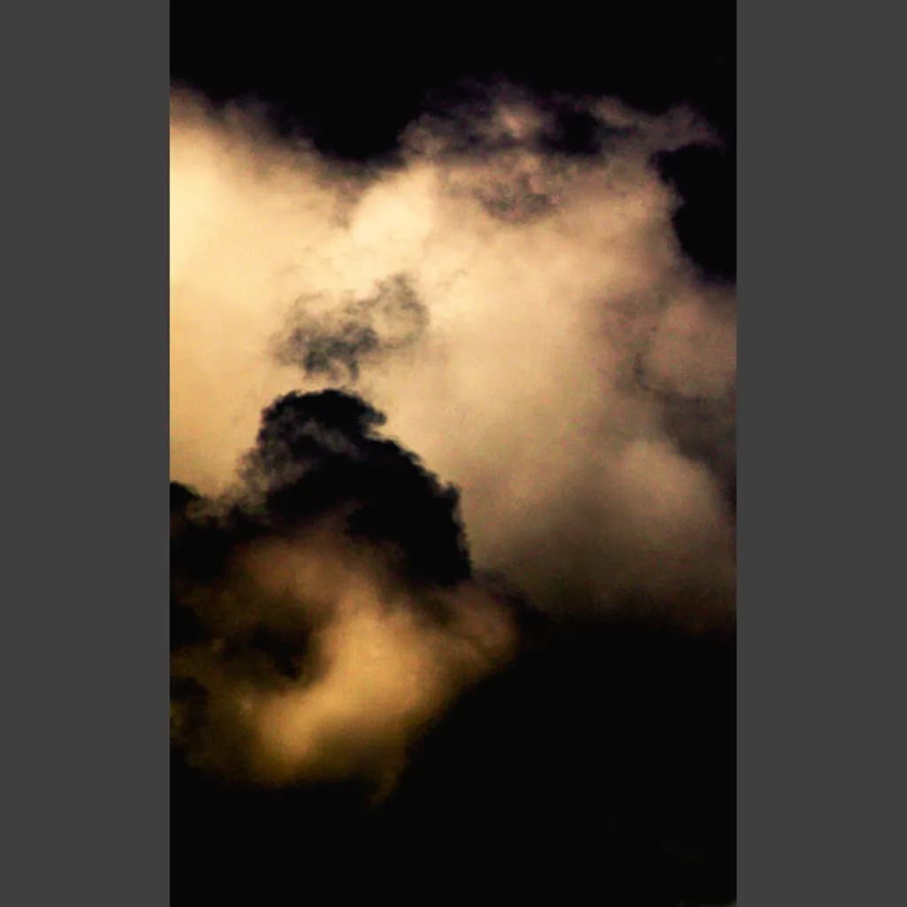 Veiled Shadows