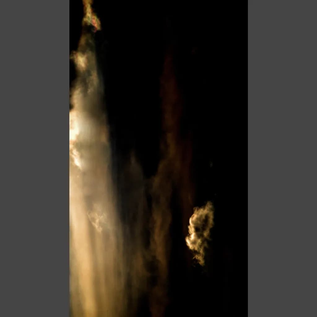 Nocturnal Veil