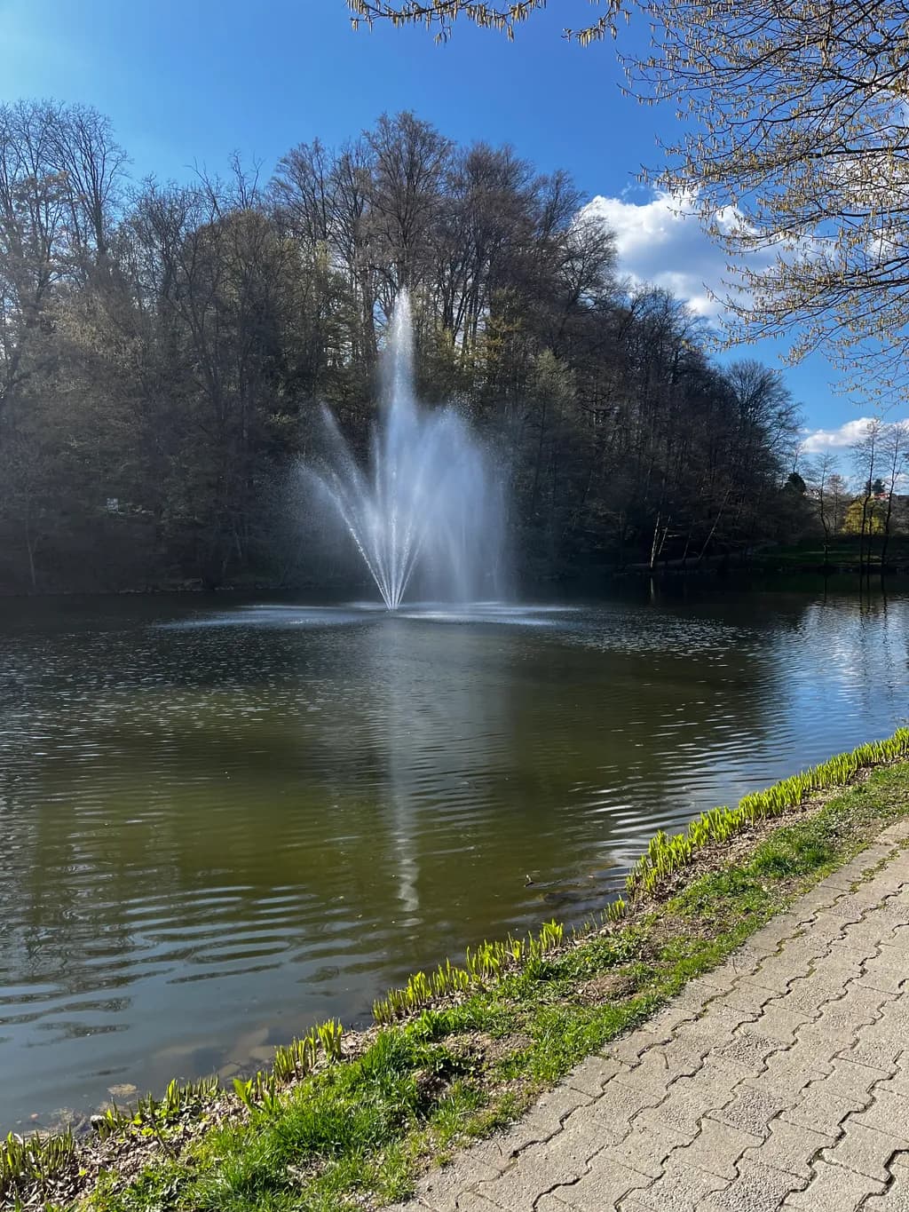 Fountain Reflection
